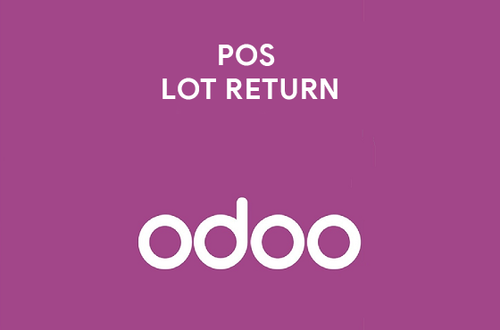 POS LOT RETURN