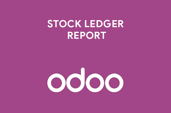 STOCK LEDGER REPORT