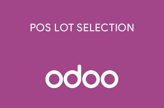 POS LOT SELECTION