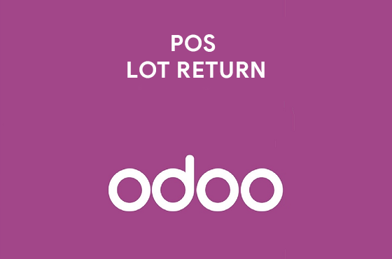 POS Lot Return