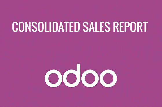 Consolidated Sales Report