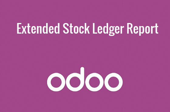 Extended Stock Ledger Report