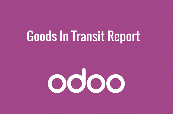 Goods in Transit Report
