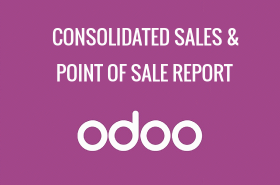 CONSOLIDATED SALES & POINT OF SALE REPORT
