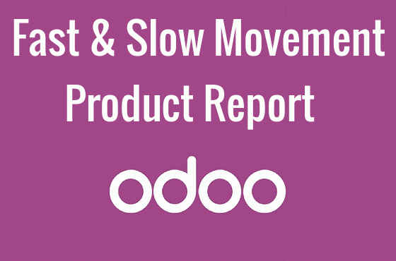 Fast & Slow Movement Product Report