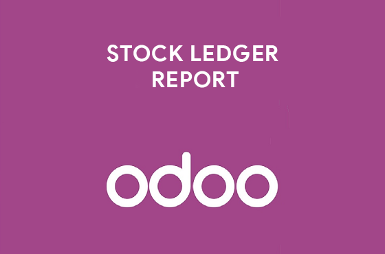 Stock Ledger Report