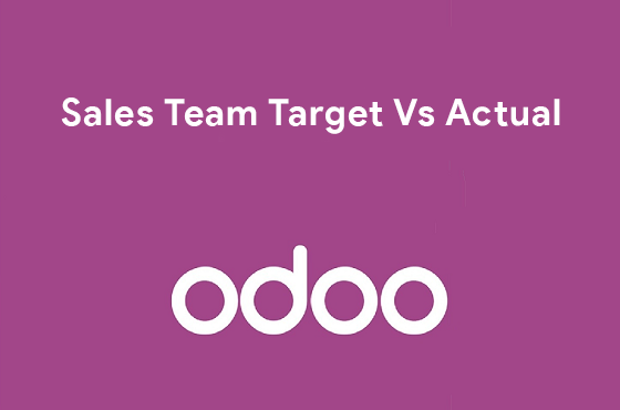 Sales Team Target Management